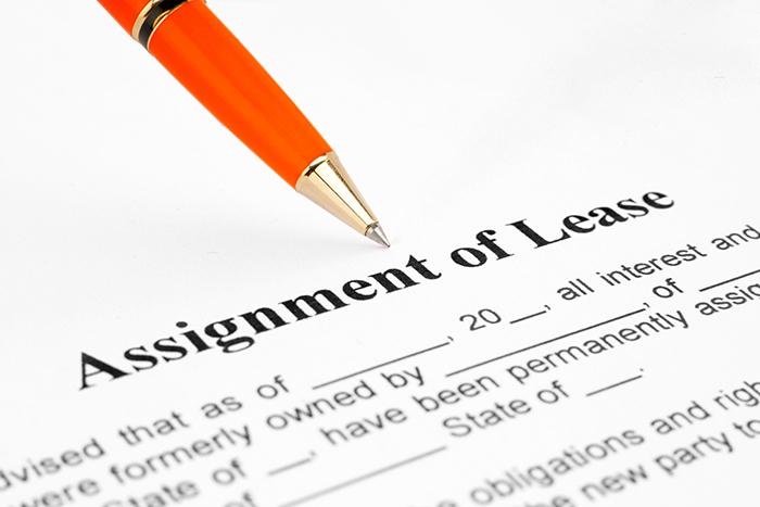 Reading the Fine Print – Understanding Your Lease